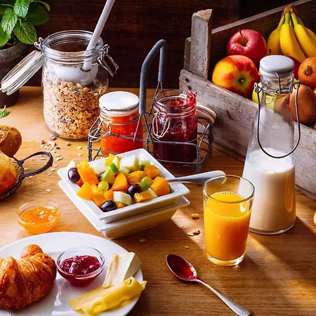 Ibis Ferrand Montferrand 3* קלרמונט-פרנד